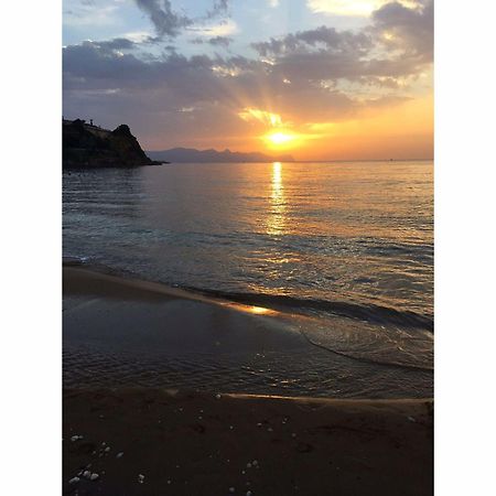 Le Palme Vacanze Trappeto  Εξωτερικό φωτογραφία